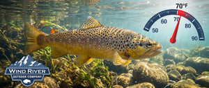 Voluntary Fishing Restrictions, Upper North Platte and Encampment Rivers