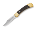BUCK 110 AUTO FOLDING HUNTER