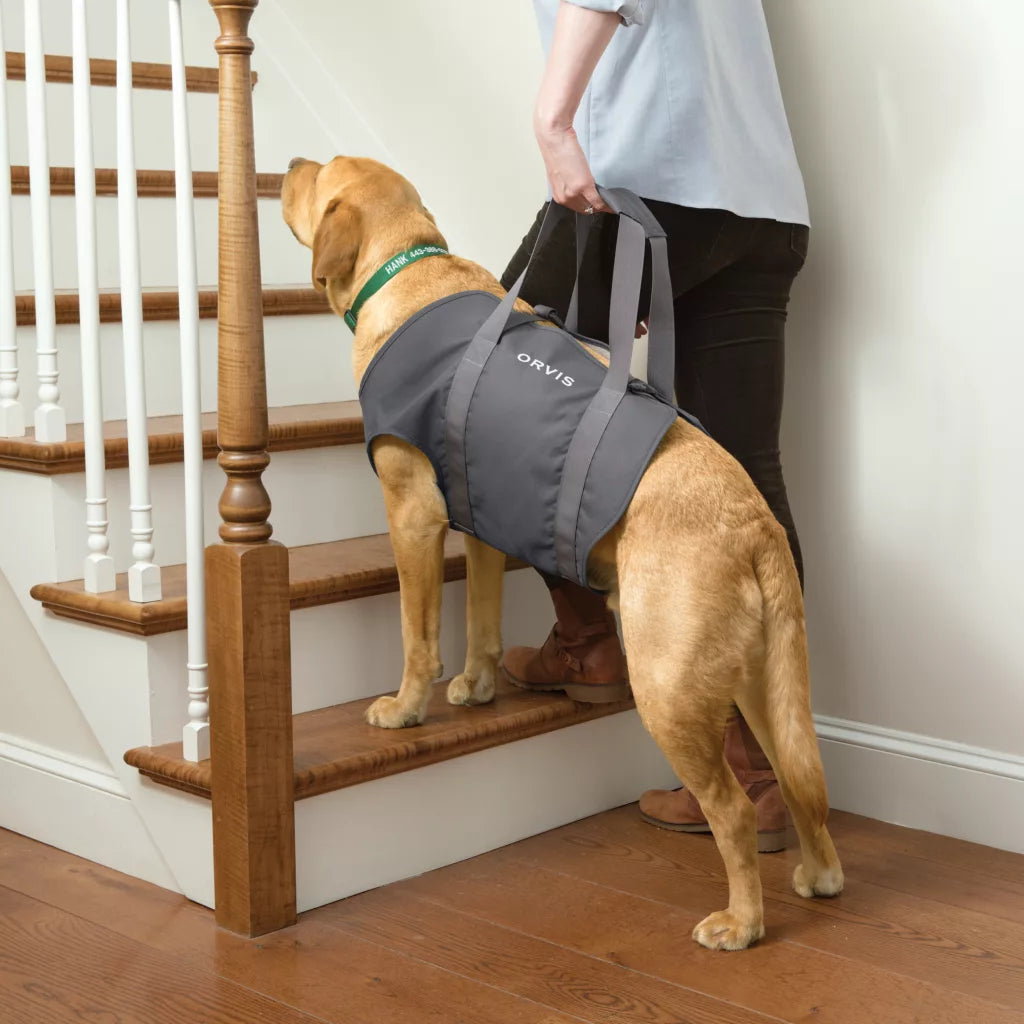 Doggie stair lift best sale