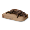 ORVIS RECOVERYZONE TC LOUNGER BED-S