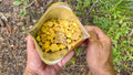 FOUNDATION OUTDOOR MEAL 1 SERV