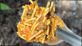 FOUNDATION OUTDOOR MEAL 1 SERV