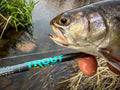 ST. CROIX TROUT PACK 3PC SPIN ROD