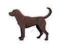 CASEY UNDERWOOD BIRD DOG DECAL STICKER