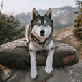 White Duck Outdoor Dog Bed