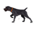 CASEY UNDERWOOD BIRD DOG DECAL STICKER