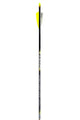 BEA FOCUS 6PK FLETCHED