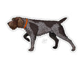 CASEY UNDERWOOD BIRD DOG DECAL STICKER