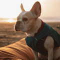 White Duck Outdoor Dog Bed