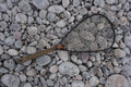 FISHPOND NOMAD CANYON NET 2.0