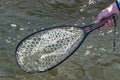 FISHPOND NOMAD NATIVE NET 2.0