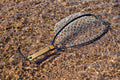 FISHPOND NOMAD NATIVE NET 2.0