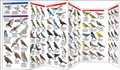 FOLDING POCKET GUIDE WYOMING BIRDS