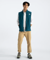 THE NORTH FACE MENS APEX BIONIC 3 VEST