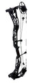 DARTON TRITECH 35 COMPOUND BOW