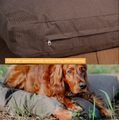 White Duck Outdoor Dog Bed