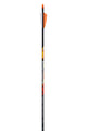 BEA X-IMPACT V2 6PK FLETCHED