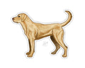 CASEY UNDERWOOD BIRD DOG DECAL STICKER