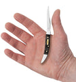 CASE BLACK CURLY OAK WOOD SM TEXAS TOOTHPICK