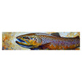 MESSY PAINT TROUT XL DECAL 15