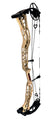 DARTON SEQUEL 33 COMPOUND BOW