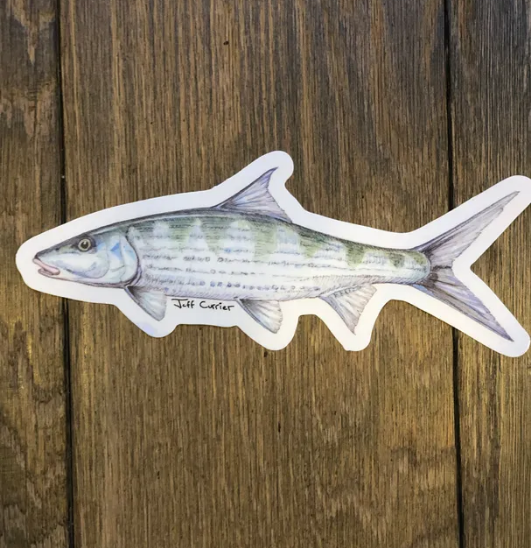 SALTWATER 5