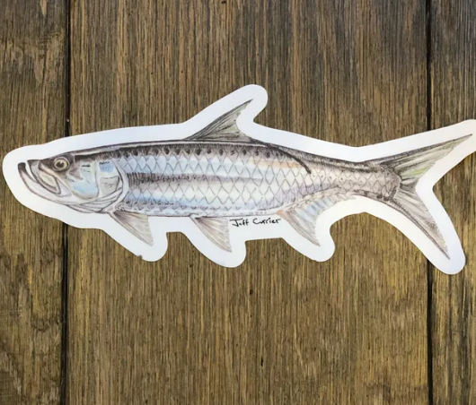 SALTWATER 5