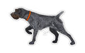CASEY UNDERWOOD BIRD DOG DECAL STICKER