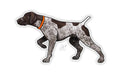 CASEY UNDERWOOD BIRD DOG DECAL STICKER