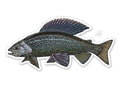 CASEY UNDERWOOD FISH STICKERS