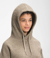 THE NORTH FACE WOMENS WOOL HARRISON PULLOVER HOODIE
