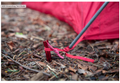 MSR GROUNDHOG TENT STAKES 6CT