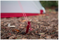 MSR GROUNDHOG TENT STAKES 6CT
