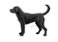 CASEY UNDERWOOD BIRD DOG DECAL STICKER